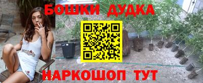 МДПВ Краснознаменск