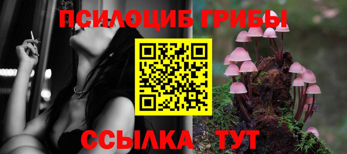 Клин  Галлюциногенные грибы мухоморы  Галлюциногенные грибы Cubensis  Вход с VPN 